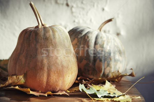 Otono calabazas halloween hojas de otoño horizontal foto Foto stock © Novic