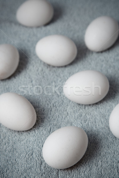 Pollo uova fibra primavera uovo tessuto Foto d'archivio © Novic