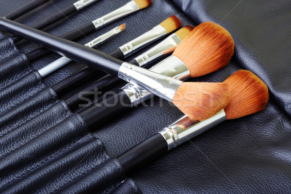 Make-up Pinsel Set Foto malen Schönheit Stock foto © Novic
