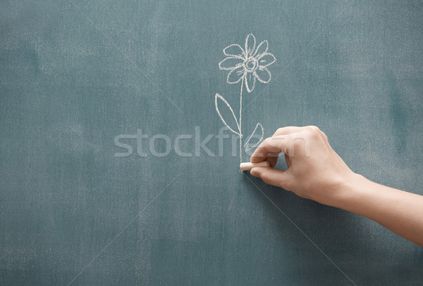 Presenting flower Stock photo © Novic