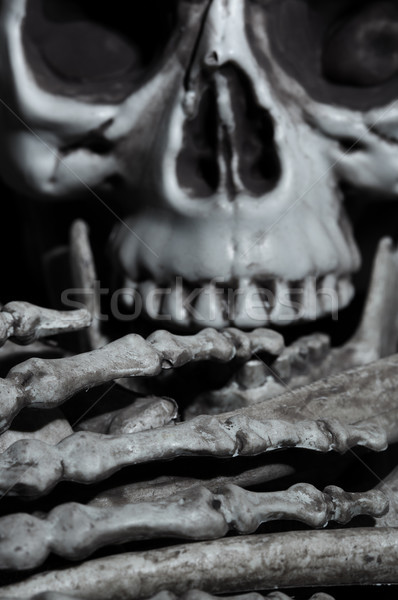 Close-up view of the human skull Stock photo © Novic