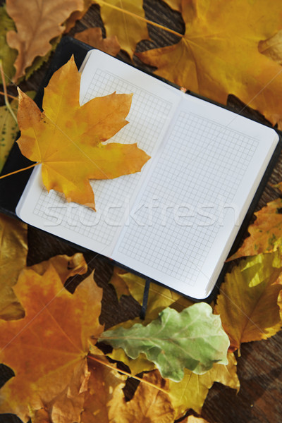 Automne vue notepad résumé [[stock_photo]] © Novic