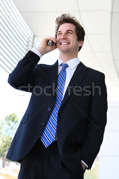 Handsome Business Man Stock photo © nruboc