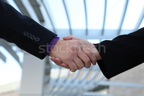 Business deal handshake  Stock photo © nruboc
