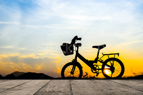 Bicicleta silueta sol establecer madera Foto stock © nuiiko