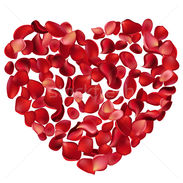 Serca duży czerwona róża płatki wzrosła Zdjęcia stock © nurrka