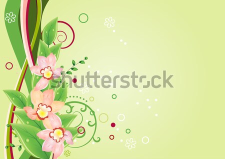 Stock fotó: Keret · pillangók · tulipánok · tavasz · örvények · húsvét