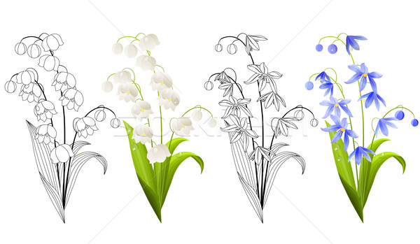 Ensemble fleurs du printemps isolé blanche Pâques nature [[stock_photo]] © nurrka