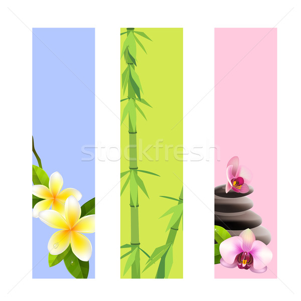 Foto stock: Colección · spa · banners · vertical · bambú · orquídeas