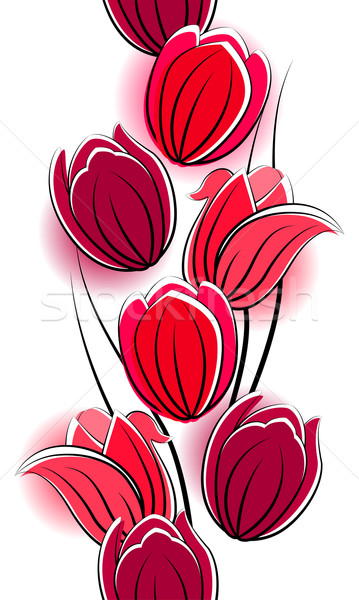 Naadloos verticaal grens Rood tulpen witte Stockfoto © nurrka
