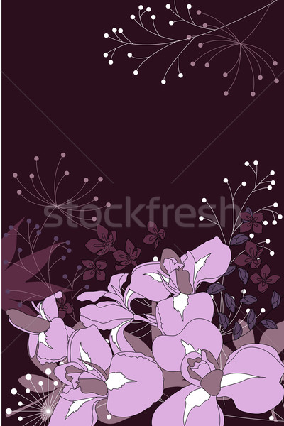 Floral stylisé fleurs sombre contour fleur [[stock_photo]] © nurrka