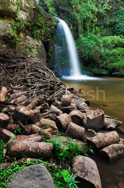 Kereste güzellik çağlayan yeşil yaprakları Rainforest Stok fotoğraf © nuttakit