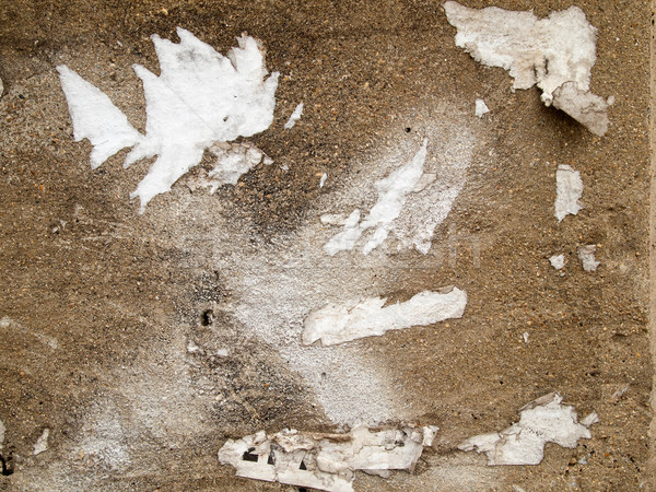 Tép ízület fehér papír cement fal Stock fotó © nuttakit