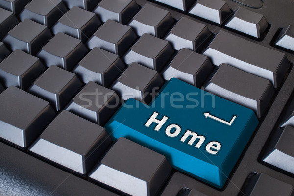 blue Home button Stock photo © nuttakit