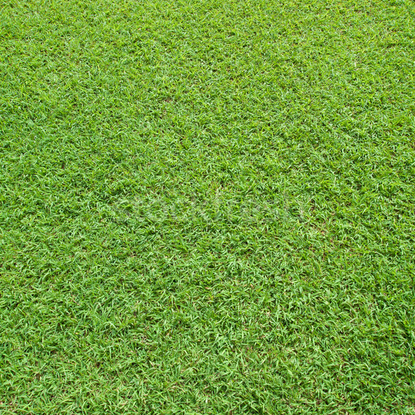 lawn in a square Stock photo © nuttakit