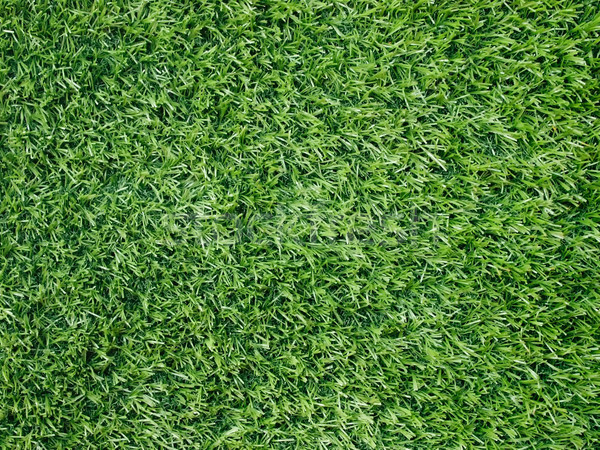 Texture and surface of green turf Stock photo © nuttakit
