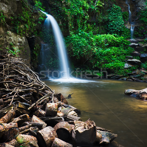 Mon Tha Than waterfall Stock photo © nuttakit