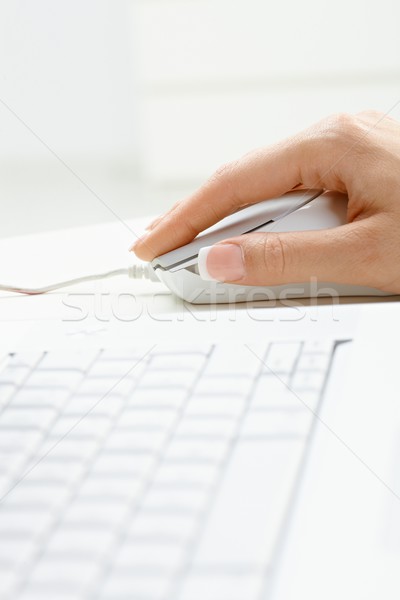 Női kéz számítógéphasználat egér közelkép kép Stock fotó © nyul
