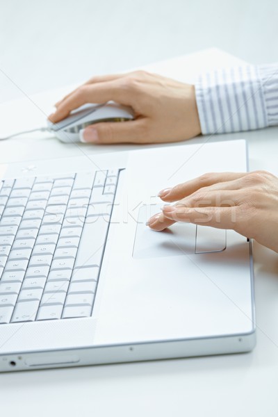 Female hands using laptop Stock photo © nyul