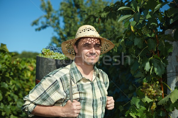 Trasero completo uvas cara hombre Foto stock © nyul