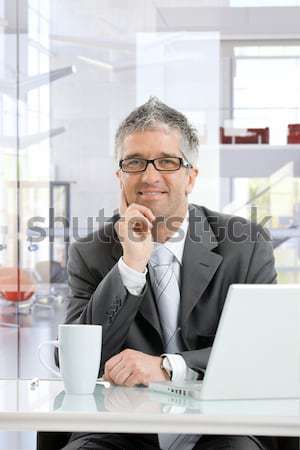 Stockfoto: Zakenman · werken · bureau · gelukkig · glimlachend · vergadering