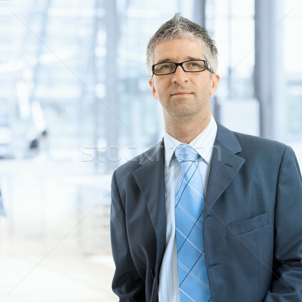 Porträt Geschäftsmann ernst tragen grau Anzug Stock foto © nyul