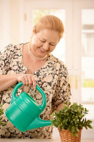 Woman watering plant Stock photo © nyul