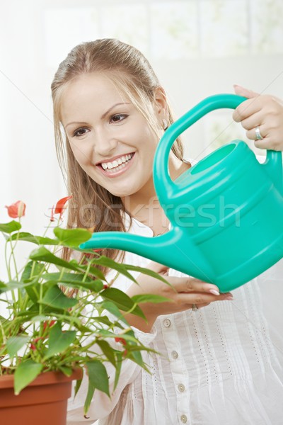 Young woman watering plant Stock photo © nyul