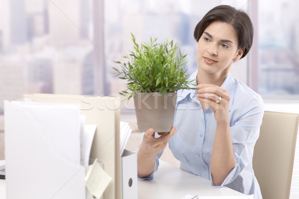 Female office worker holding potted plant Stock photo © nyul