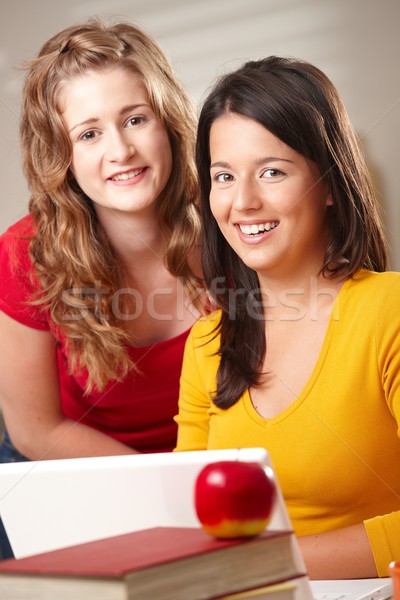 Fericit studenţi laptop Internet laptop acasă Imagine de stoc © nyul