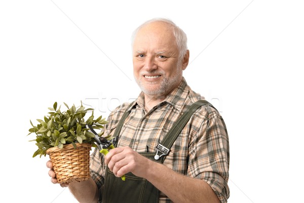 Stock photo: Elderly hobby gardener with clippers