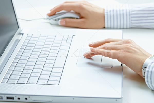 Stockfoto: Vrouwelijke · handen · met · behulp · van · laptop · hand · typen