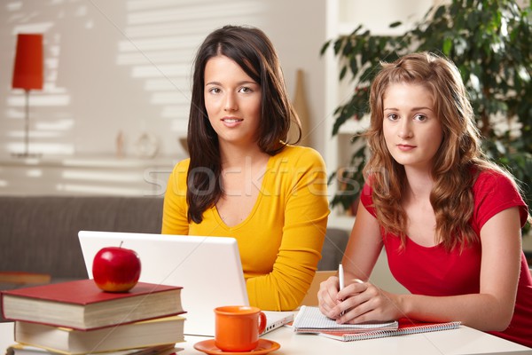 Foto stock: Estudiantes · aprendizaje · casa · portátil