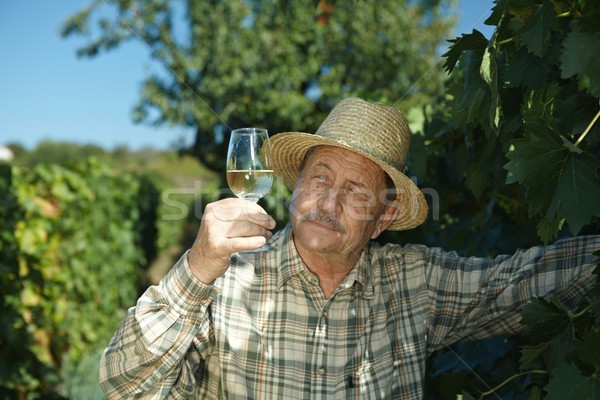 Senior vintner trying wine Stock photo © nyul