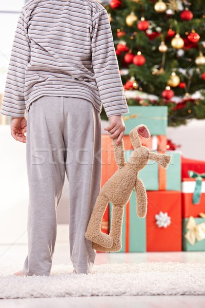 Wenig Junge Spielzeug bunny stehen Weihnachtsbaum Stock foto © nyul