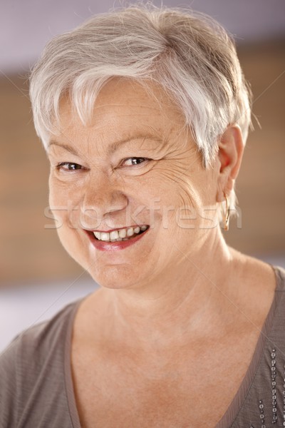 Stockfoto: Portret · gelukkig · senior · vrouw · grijs · haar