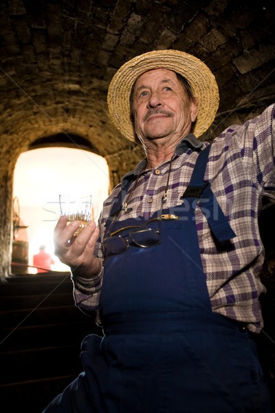 Supérieurs français paille permanent entrée cave à vin [[stock_photo]] © nyul