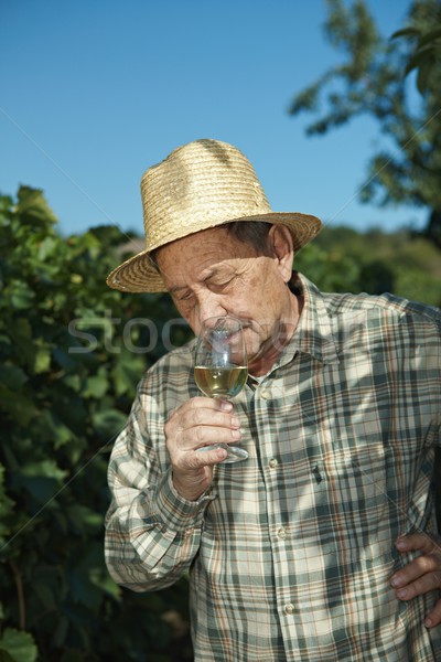 Senior vintner testing wine Stock photo © nyul