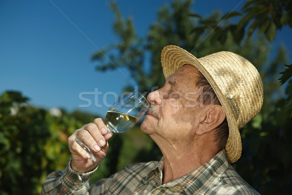 Senior winemaker tasting wine Stock photo © nyul