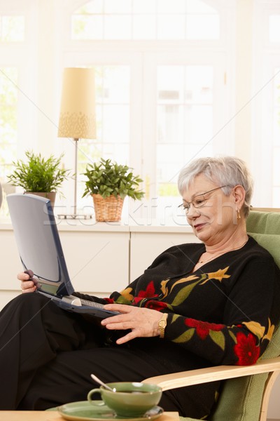 Stock foto: Modernen · Rentner · Laptop · Frau · Sitzung · home