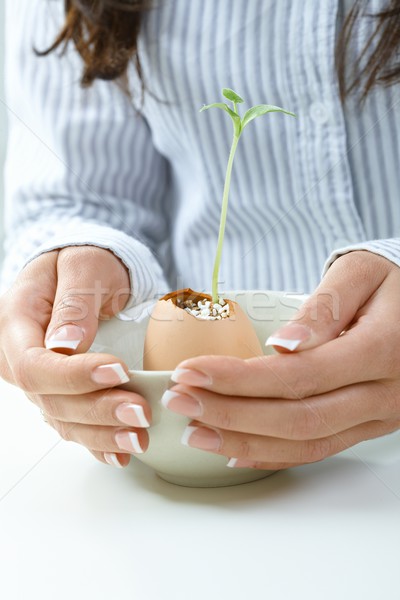 Foto stock: Femenino · manos · creciente · planta · primer · plano