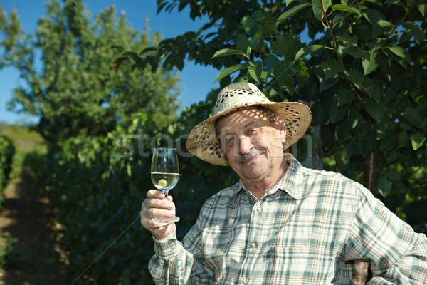 Senior vintner testing wine Stock photo © nyul