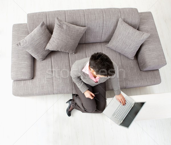 Kobieta za pomocą laptopa komputera kobieta interesu posiedzenia kanapie Zdjęcia stock © nyul