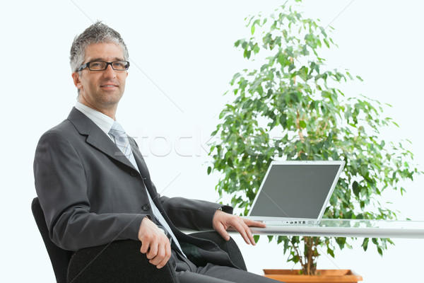 Geschäftsmann mit Laptop Schreibtisch Computer schauen Kamera Stock foto © nyul