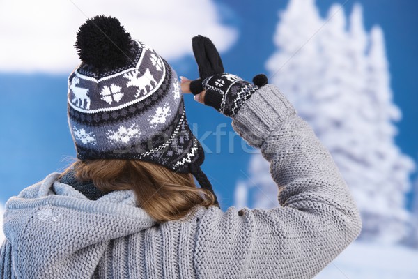 Skifahrer schauen Abstand top Frau Mädchen Stock foto © nyul