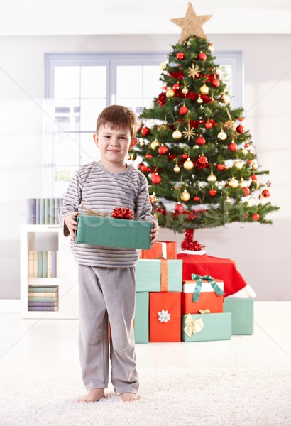 Happy little boy on christmas day Stock photo © nyul