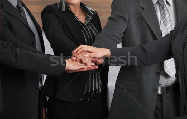Joined hands Stock photo © nyul