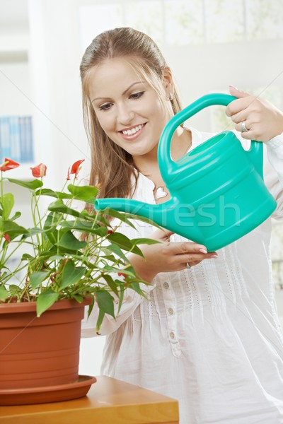 Young woman watering plant Stock photo © nyul