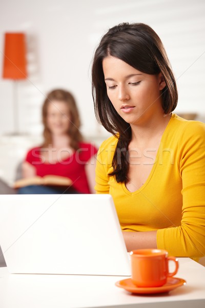 Teen fata lucru calculator laptop teme pentru acasa şedinţei Imagine de stoc © nyul