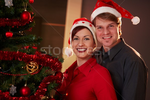 Foto stock: Feliz · casal · natal · retrato